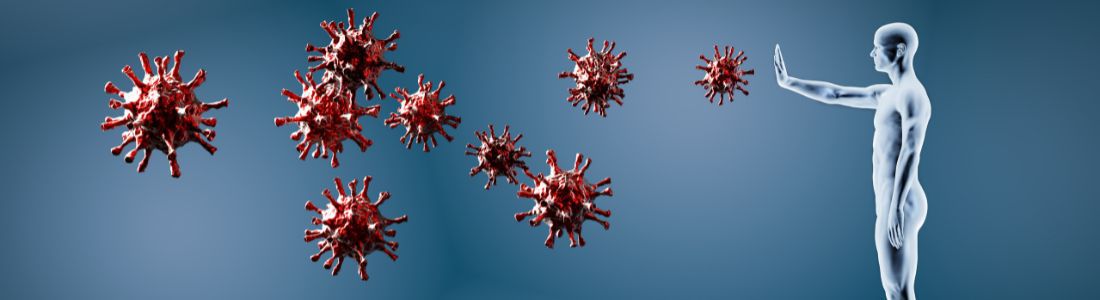 Erkältung, Grippe & Immunsystem 